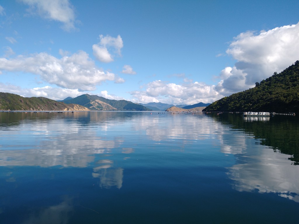 Morning calm in Kauauroa Bay. Photo Ray Penson