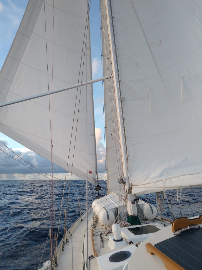 Almost full sail making good time up the West Coast. Photo Ray Penson