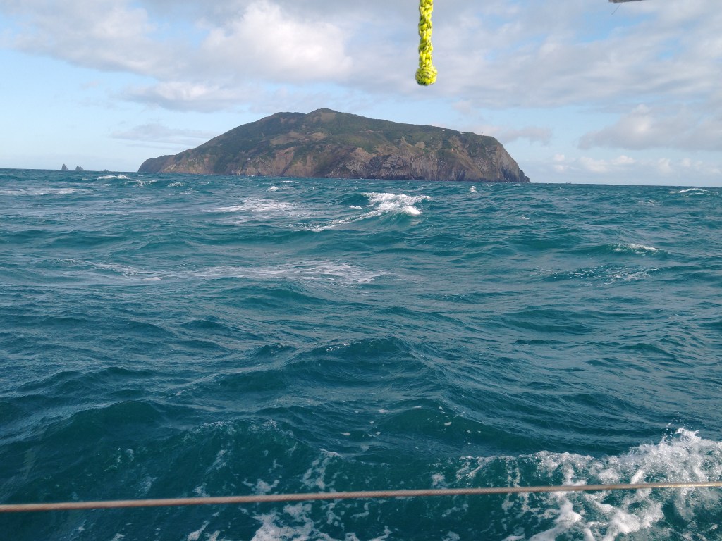 Stephens Island in Cook Strait. Photo Ray Penson