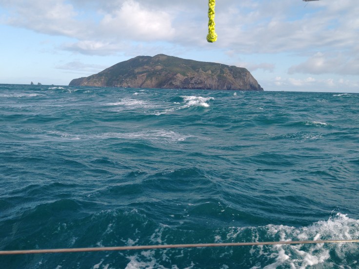 Stephens Island in Cook Strait. Photo Ray Penson