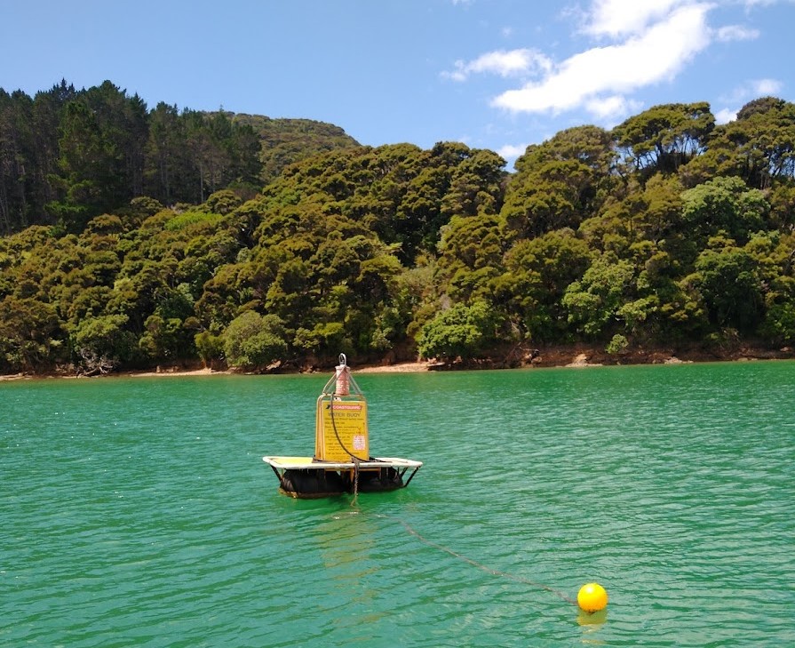 Wonderful Water Buoy Whangaroa Harbour. Photo Ray Penson