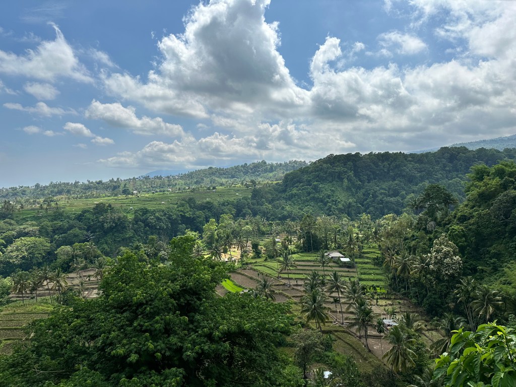 Cooler on the Slopes towards Mt. Rinjani. Photo Steven Penson