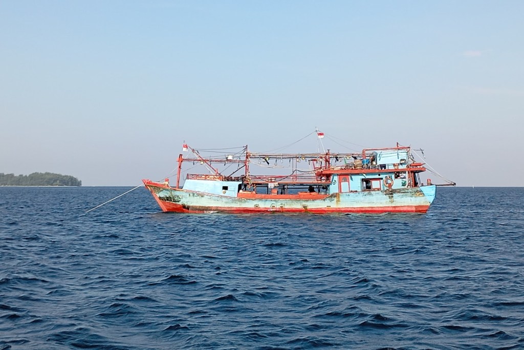 One of my Nocturnal Tormentors resting and preparing for a night sortie. Photo Ray Penson
