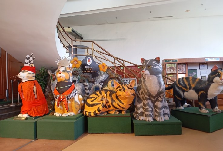 Cats Museum display, slightly disturbing. Photo Ray Penson