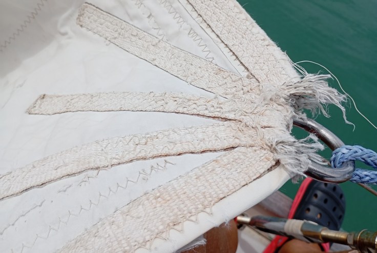 Clew damage on the Yankee. Photo Ray Penson