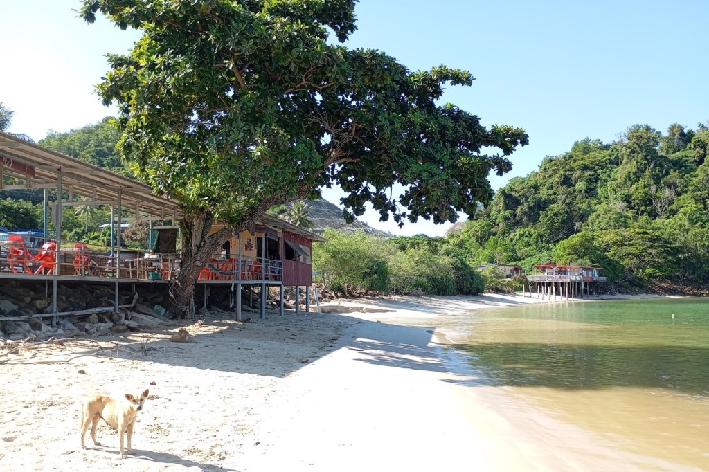 Usukan Cove, a beautiful spot. Photo Ray Penson