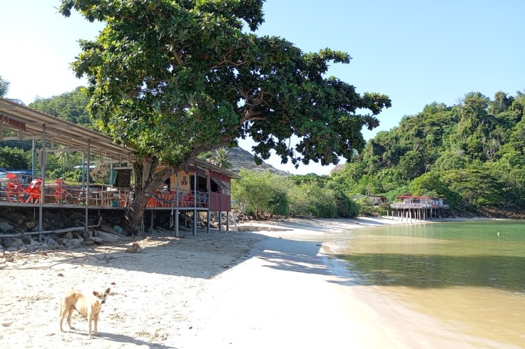 Usukan Cove, a beautiful spot. Photo Ray Penson