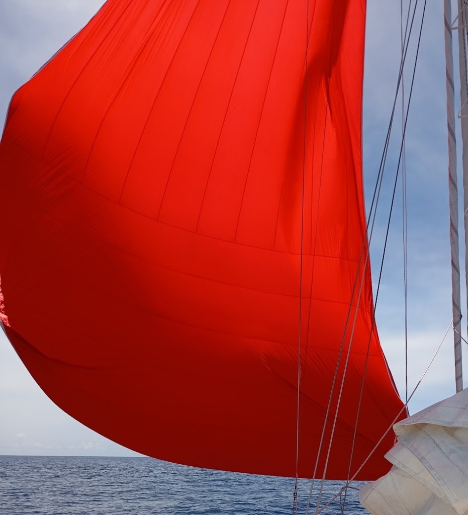 Wind was so light I flew the Spinnaker. Photo Ray Penson