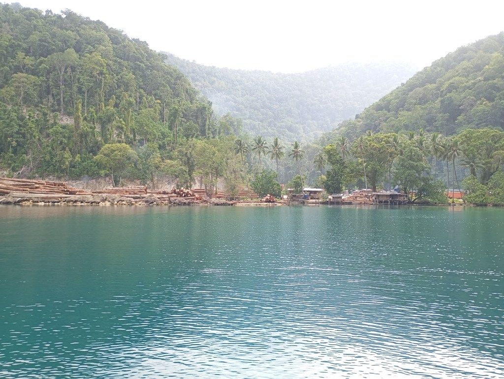 Malaysian Logging enterprise at Port Sulphur, New Ireland. Here I became wary of the security situation. Photo Ray Penson