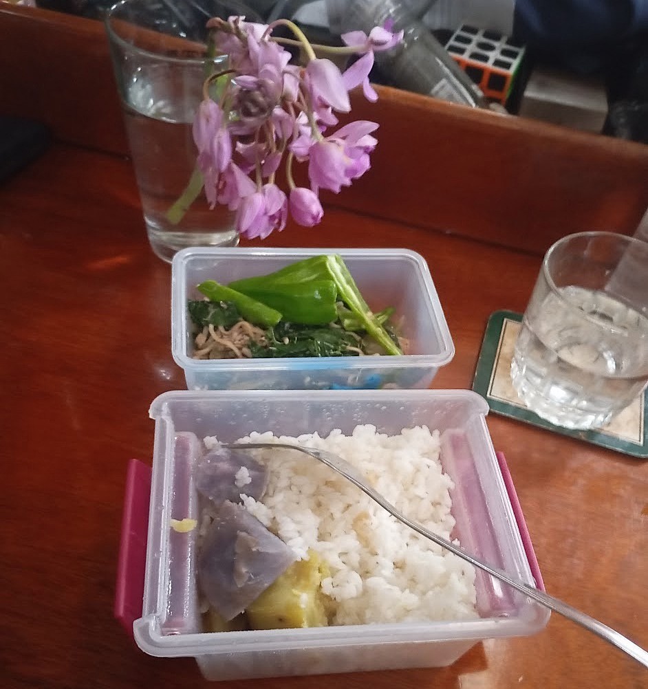 Dinner supplied by Hilda, Just what I needed, So thoughtful. Photo Ray Penson